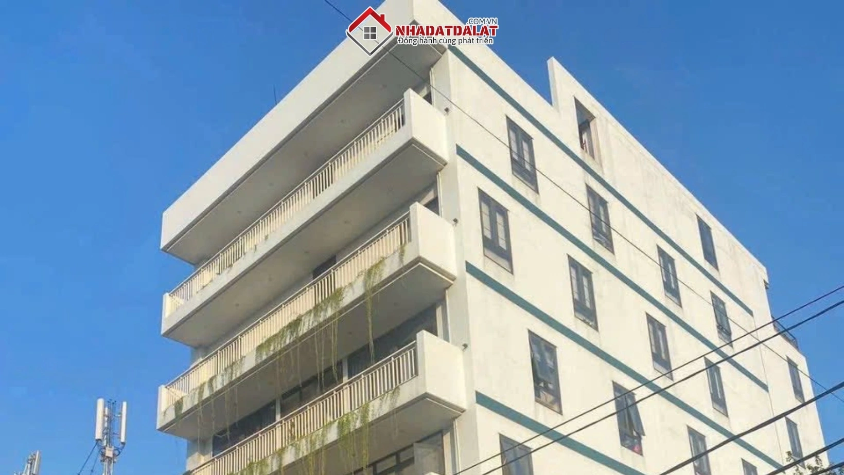 Thuê căn hộ chung cư hay nhà nguyên căn phụ thuộc vào nhiều yếu tố