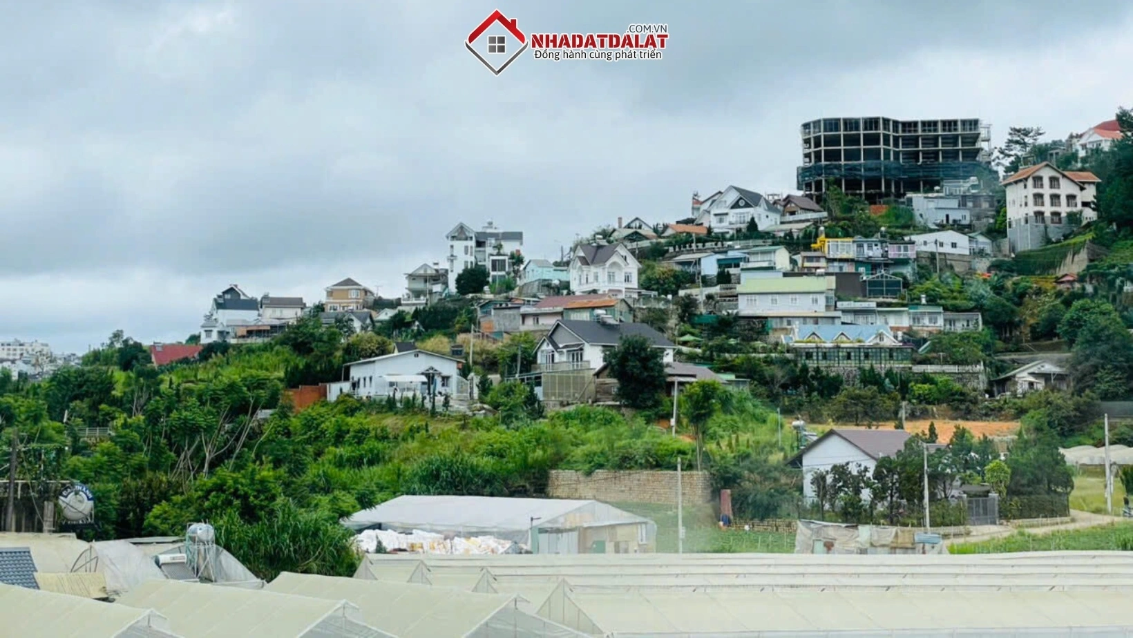 Du lịch Đà Lạt tác động tích cực đến thị trường cho thuê nhà nguyên căn