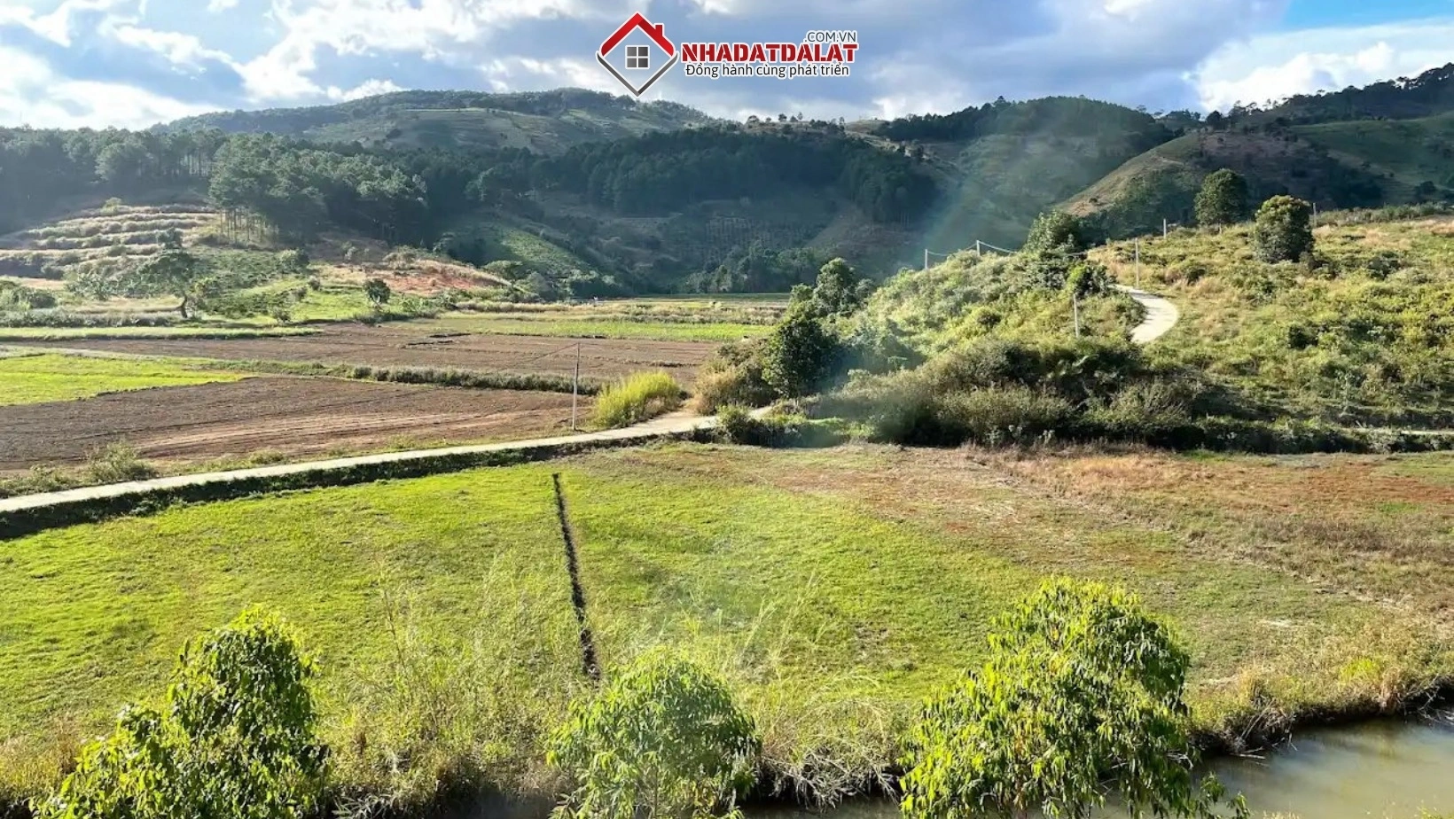 Đất nền, đất thổ cư phường Xuân Trường - Đà Lạt