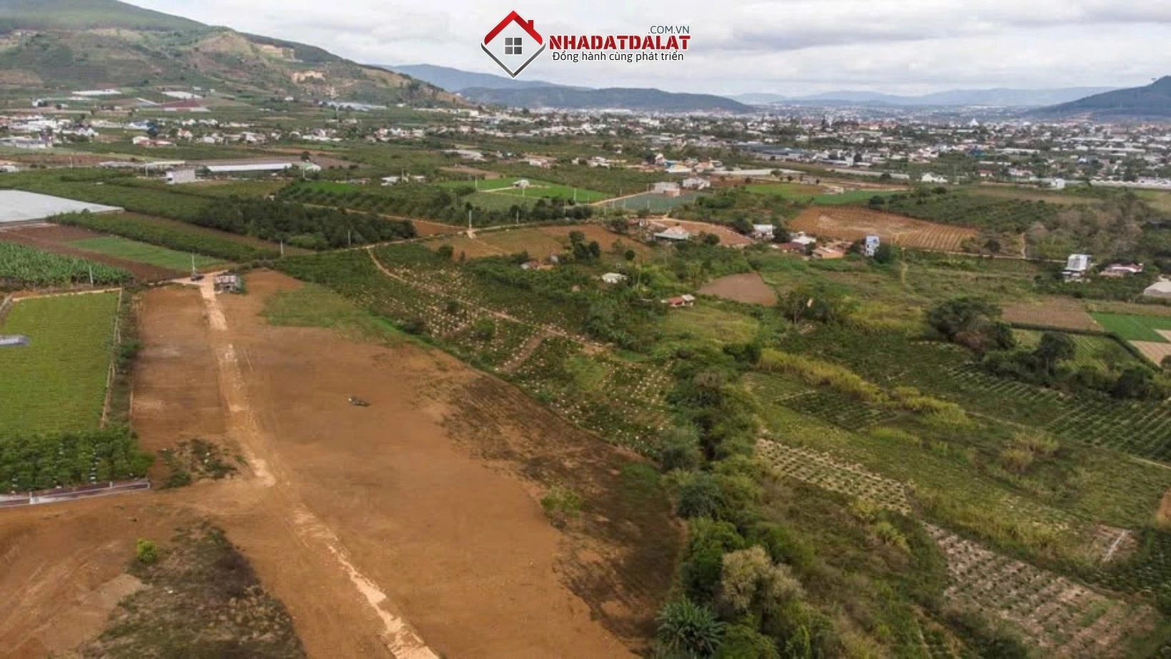 Đất nền dự án đang thu hút mạnh dòng tiền