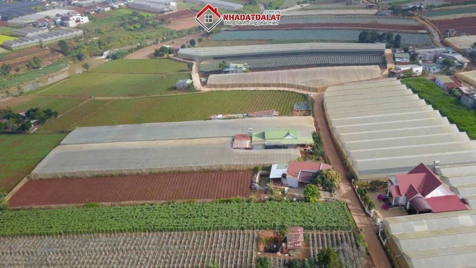 Xu hướng đầu tư và phát triển nông nghiệp công nghệ cao