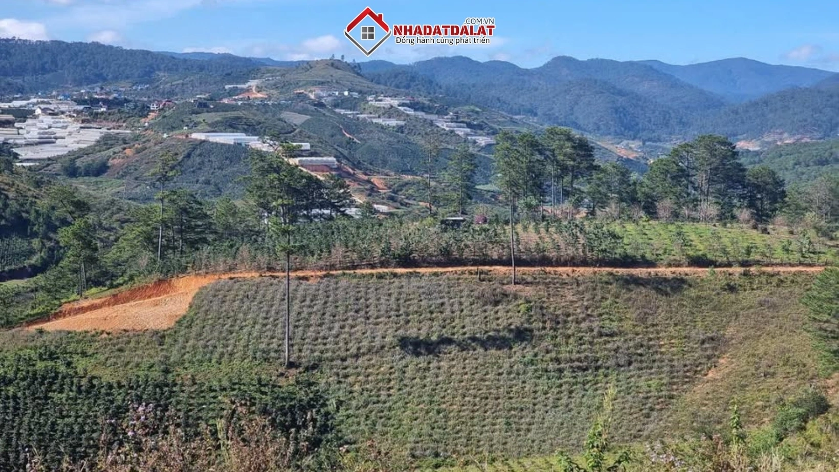 Lựa chọn thời điểm mua vào đất nông nghiệp tại Đà Lạt