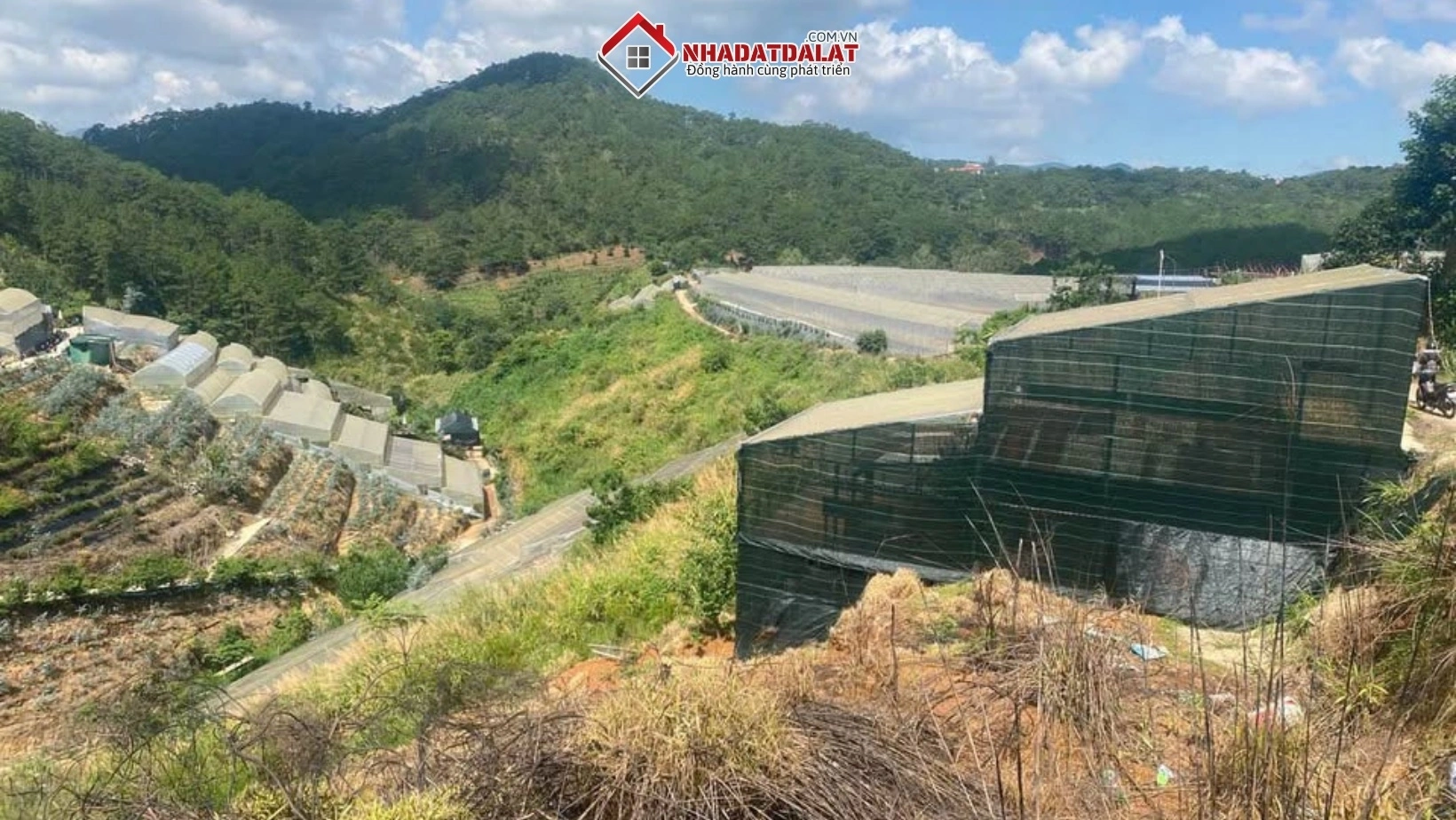 Đầu tư đất nông nghiệp tại Đà Lạt cần có chiến lược phù hợp