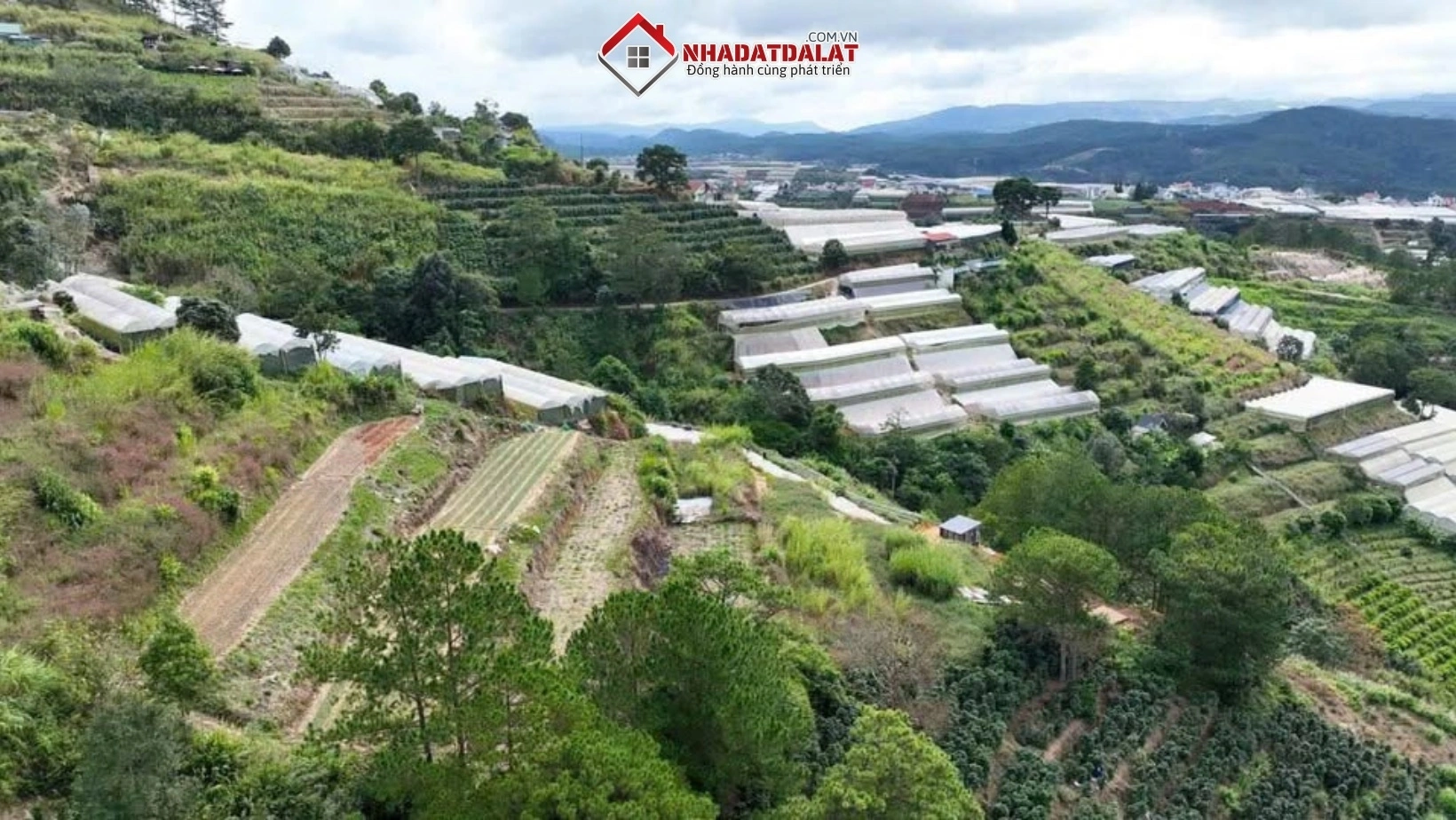 Đất nông nghiệp tại Tà Nung