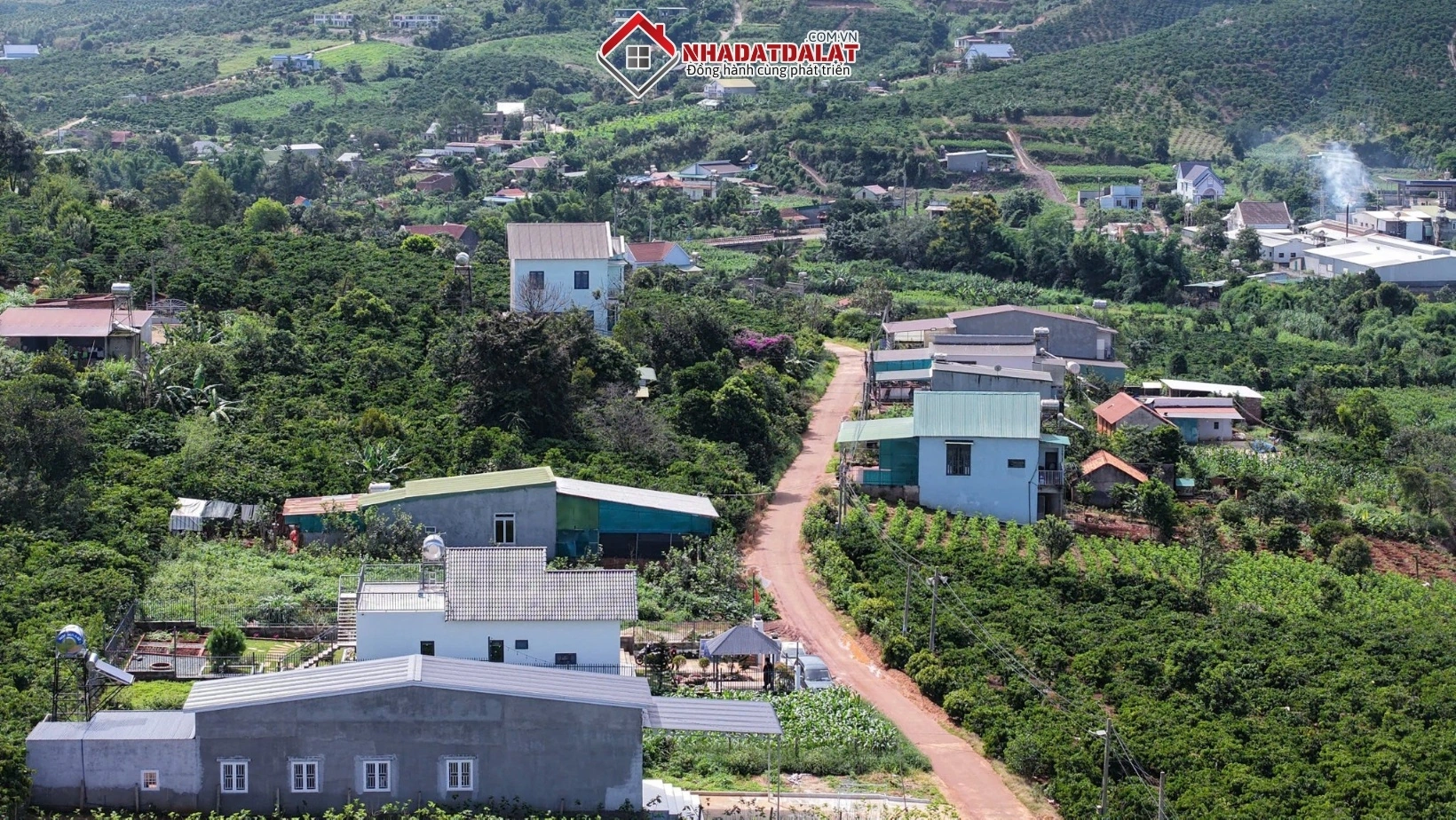 Hạ tầng và tiện ích tác động mạnh đến giá đất nông nghiệp Đà Lạt