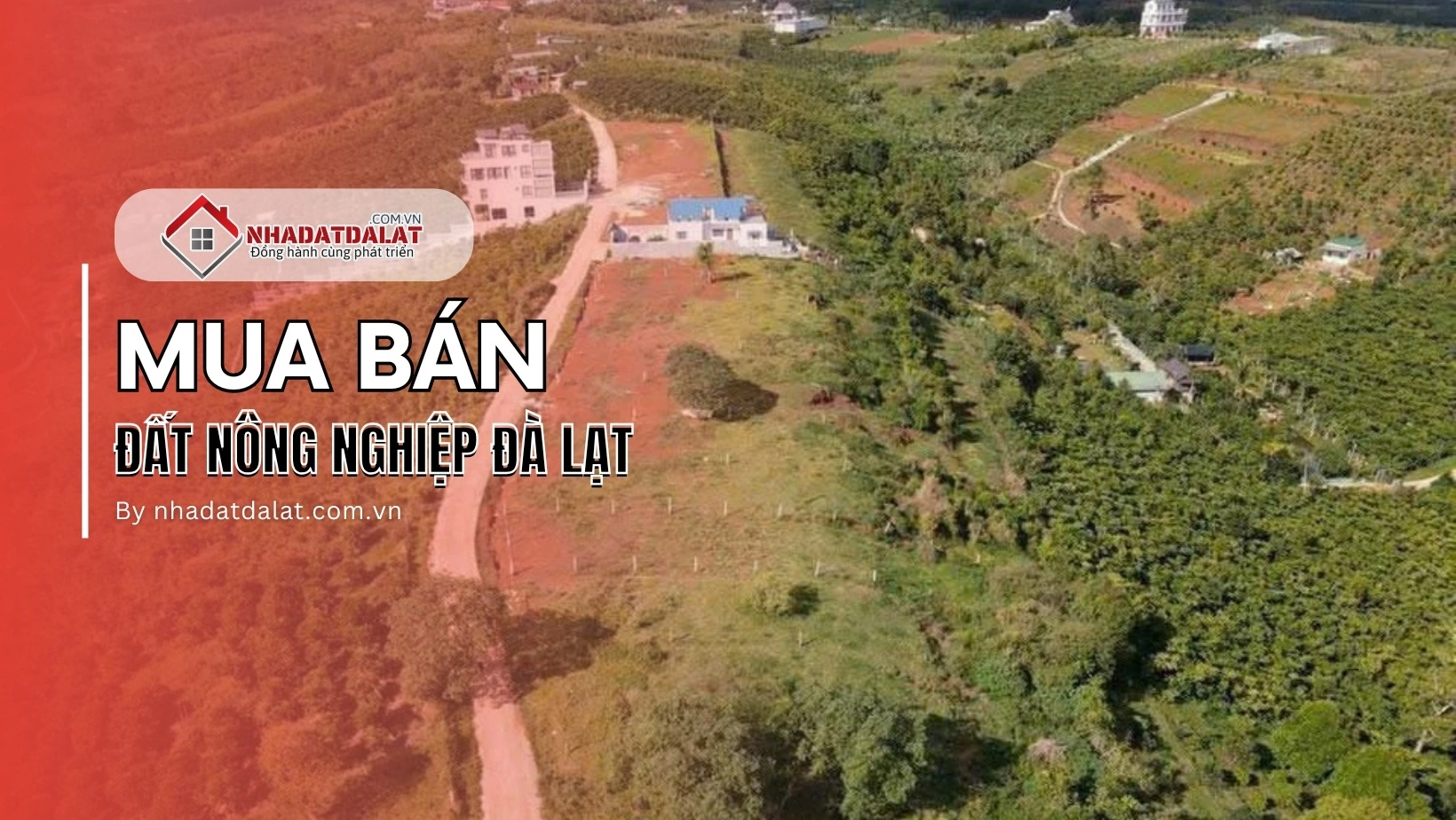 Mua bán đất nông nghiệp Đà Lạt