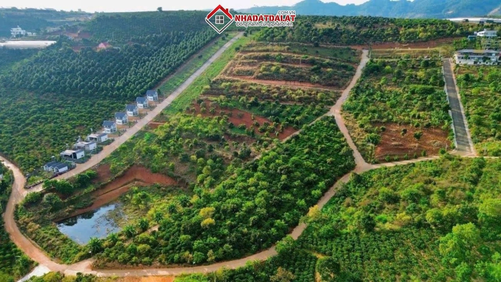 Tiềm năng phát triển kinh tế ở phường Xuân Trường Đà Lạt