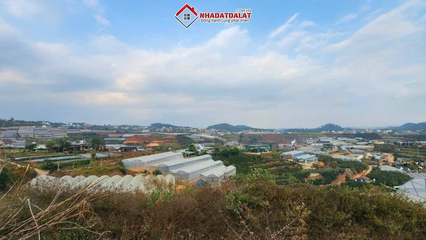 Tác động tích cực từ sáp nhập lên thị trường nhà đất phường Xuân Trường