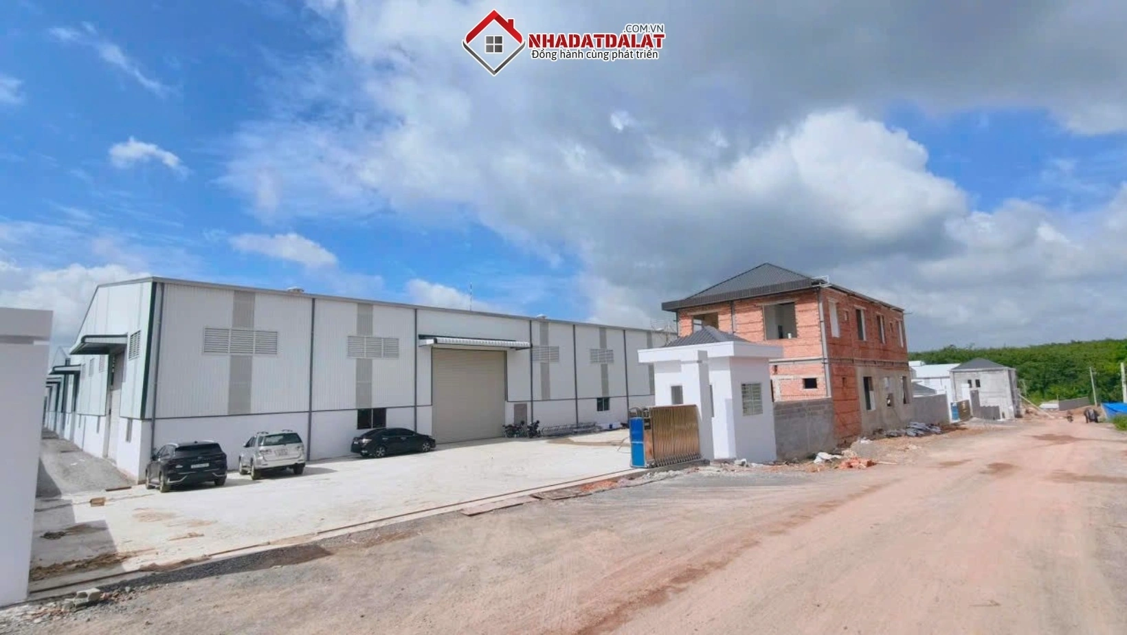 Khu vực cho thuê phổ biến là phường 8