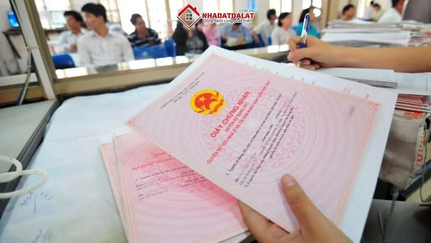 Nghị định và pháp luật liên quan đến thủ tục cấp sổ đỏ lần đầu