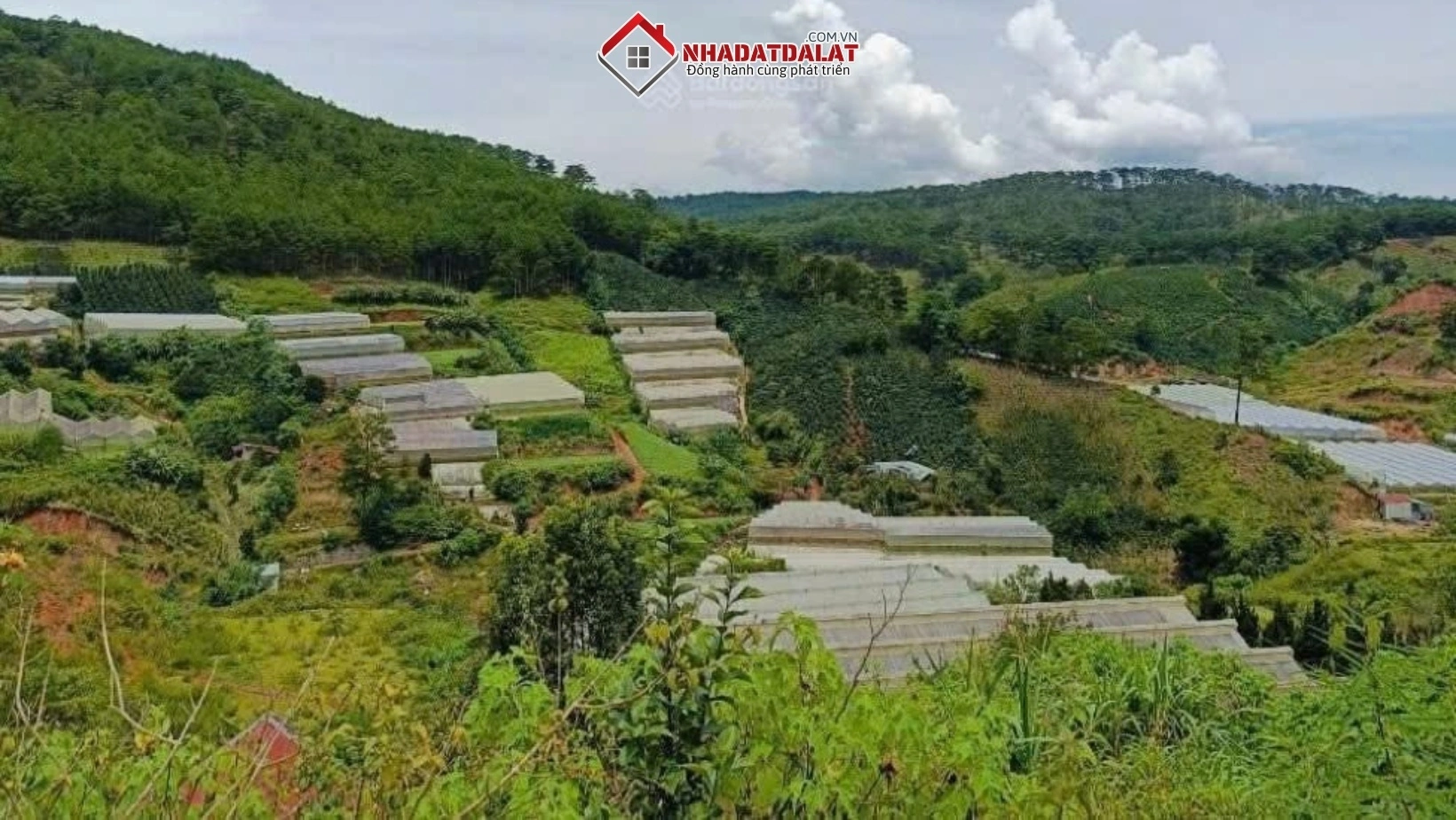 Chuyển đổi mục đích sử dụng đất là việc thay đổi loại đất đang sử dụng sang loại đất khác theo quy định