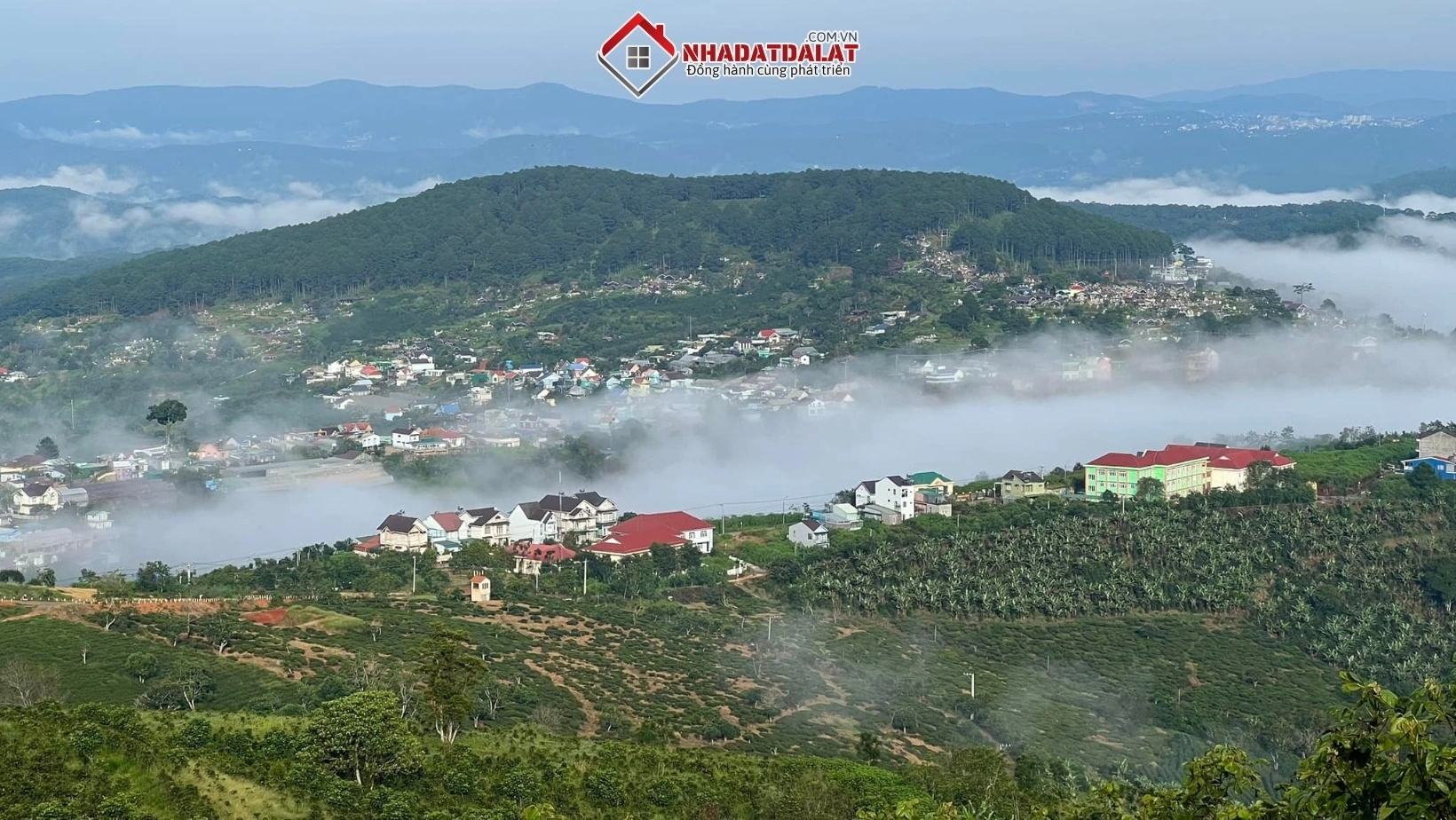 Cần đăng ký biến động diện tích đất như khi tách thửa, hợp thửa, chuyển mục đích sử dụng đất hoặc xây dựng
