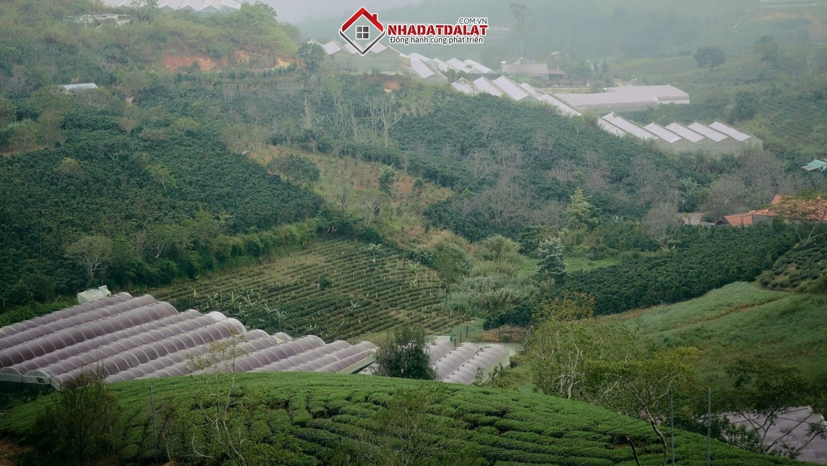 Tách thửa đất tại Đà Lạt để chia đất, chuyển nhượng, đầu tư hoặc chuyển đổi mục đích sử dụng