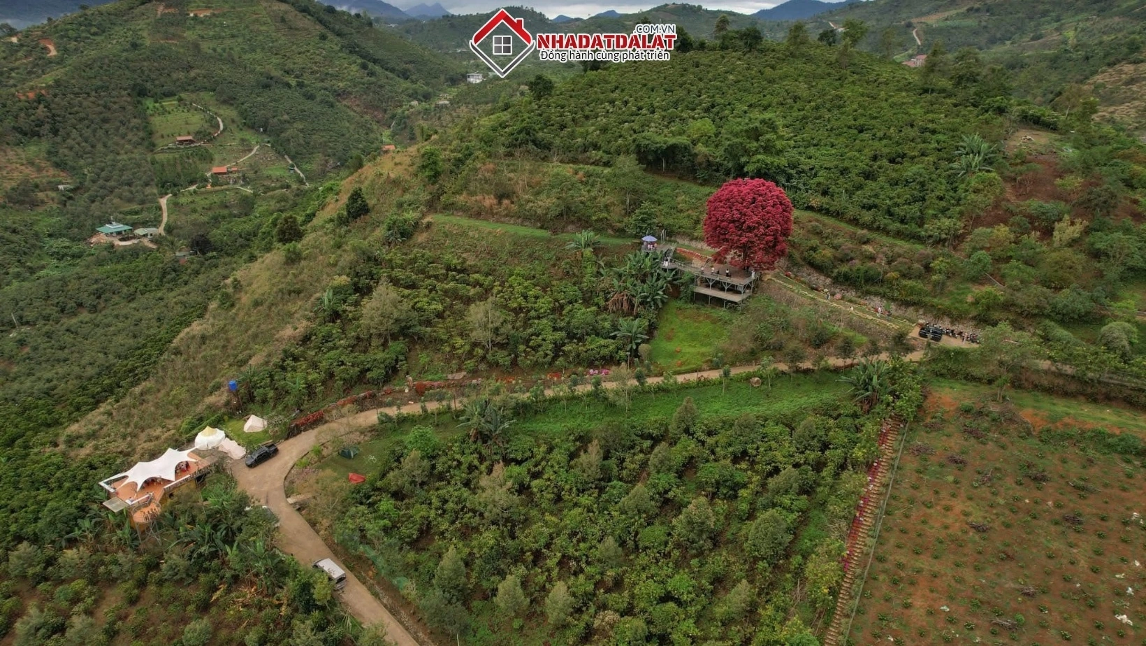 Hợp thửa đất tại Đà Lạt giúp tối ưu diện tích, tăng giá trị bất động sản và thuận lợi cho xây dựng, chuyển nhượng