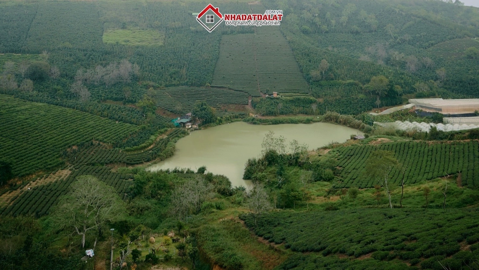 Dịch vụ khác ngoài tách thửa, hợp thửa của Nhà Đất Đà Lạt XYZ
