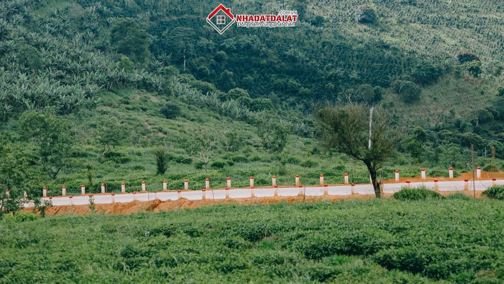 Diện tích tối thiểu để tách thửa tại Đà Lạt