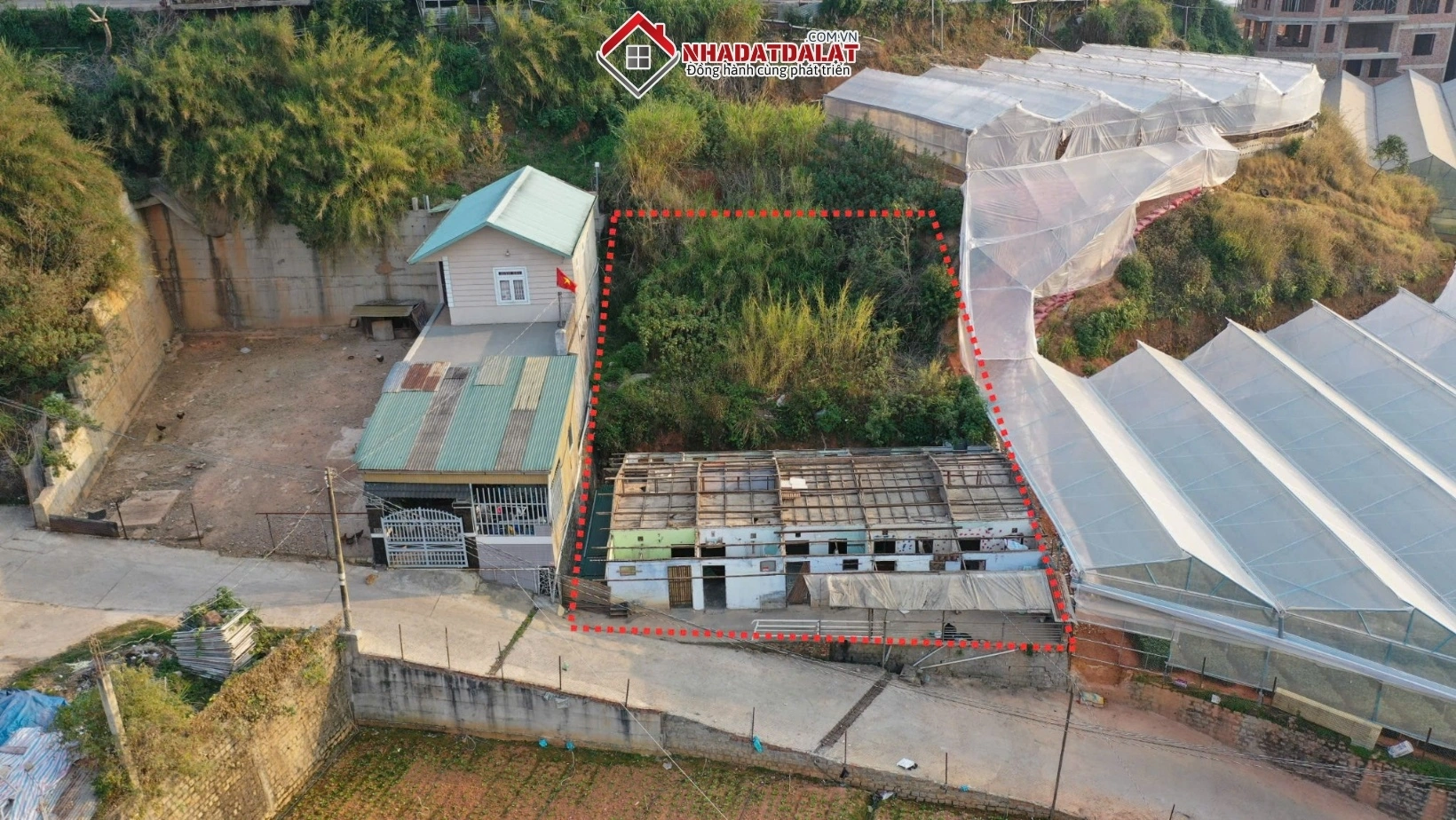 Giá đất Đà Lạt đầu năm 2025 tăng so với giai đoạn trước