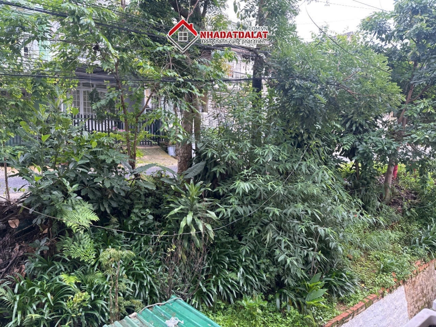 Bán căn hộ chung cư ngô quyền Đà Lạt