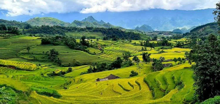 Phường LangBiang – Đà Lạt - Thị trường bất động sản tại Phường LangBiang – Đà Lạt