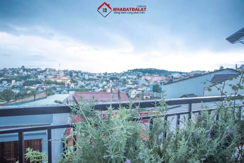 View từ homestay 15 phòng đường Trần Phú trung tâm Đà Lạt