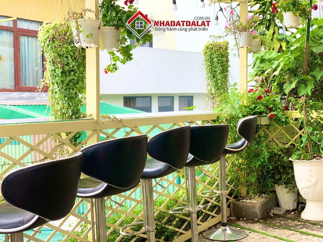 Bánh nhà đất khu hoà bình Đà Lạt